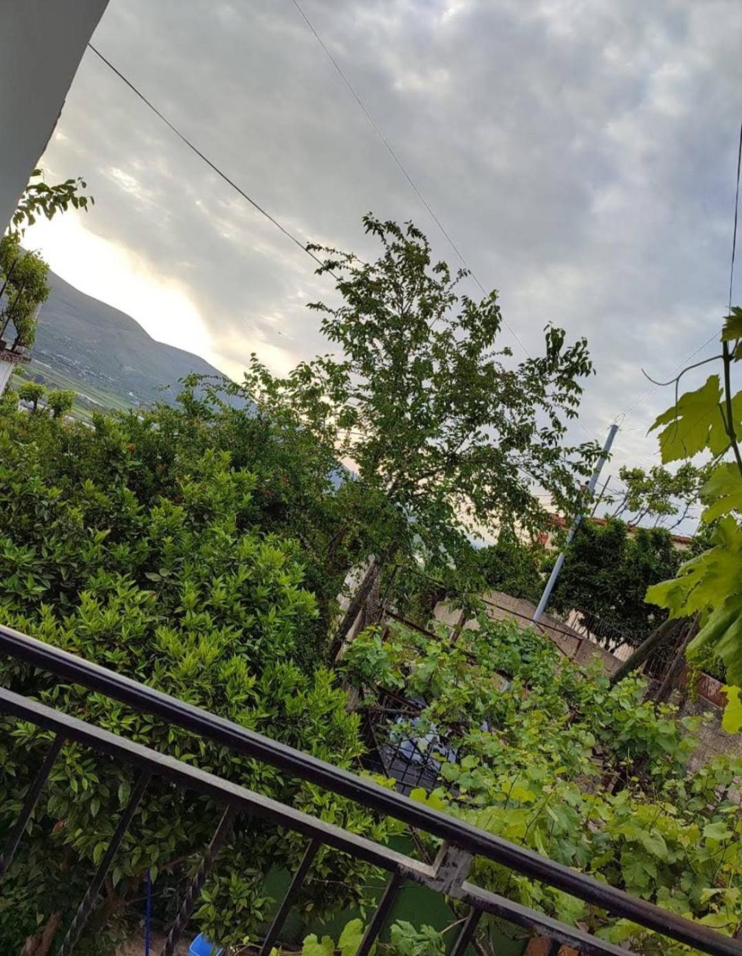 Guest House Eloid Berat Exterior foto