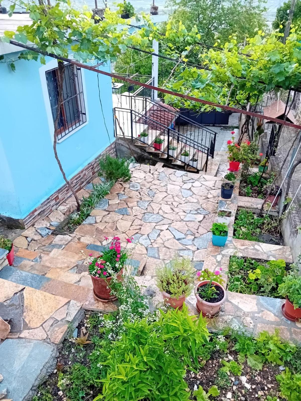 Guest House Eloid Berat Exterior foto